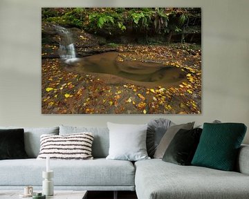 Wasserfall Butzerbachtal im Herbst in der Eifel, Deutschland. von Rob Christiaans