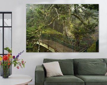 The Guardians of Pont d'Espagne by Lars van de Goor