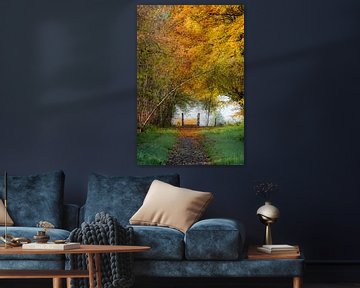 Kleine Brücke in einer Herbstlandschaft (Porträt) von Fotografie Jeronimo