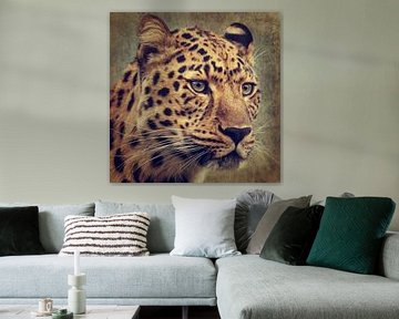 Leopard Portrait