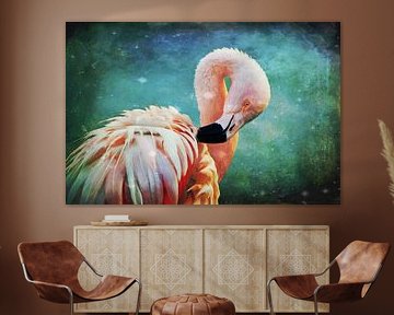 Flamingo Portrait