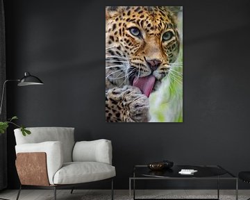 Leopard by AD DESIGN Photo & PhotoArt