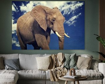 Elefanten Portrait van AD DESIGN Photo & PhotoArt