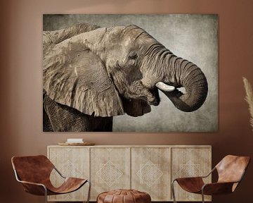 Afrikanischer Elefant von Angela Dölling