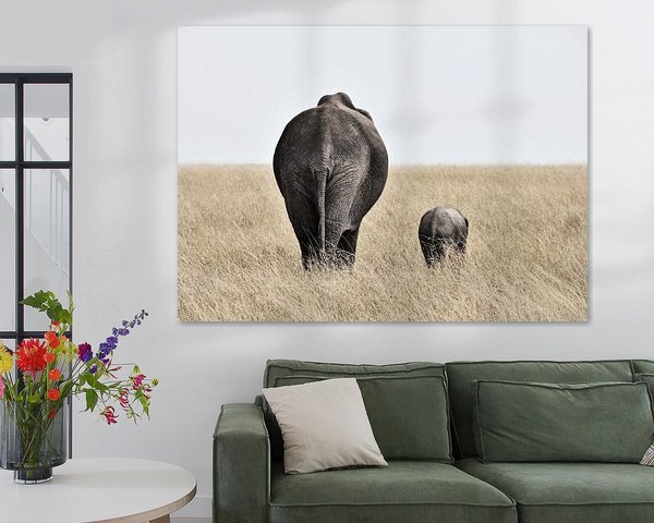 Elephant with little one