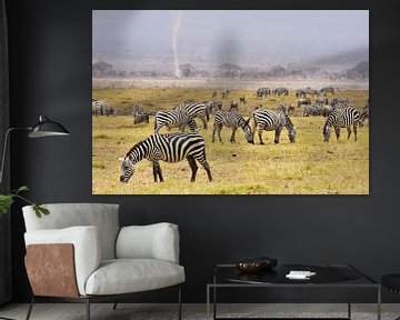 Zèbres de pâturage dans le parc national d'Amboseli (Kenya) sur Esther van der Linden