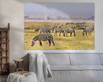 Grazende zebra's in Amboseli National Park (Kenia)  van Esther van der Linden