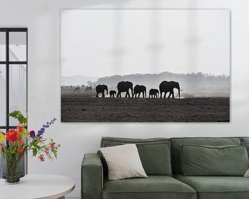 Elephants in Amboseli National Park (Kenya) by Esther van der Linden