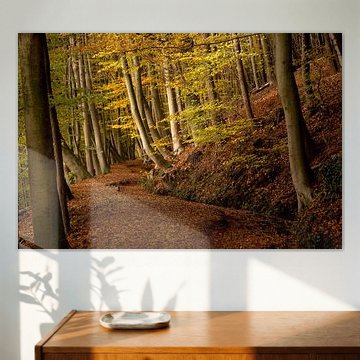 Herfst op de Sint Jansberg