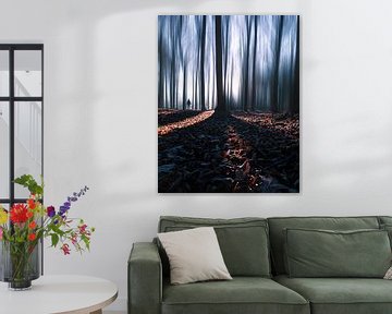 The enchanted forest van Niels Tichelaar