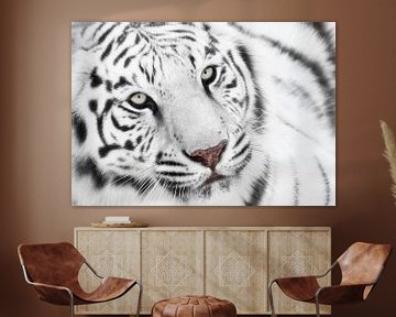 Witte tijger van Marcel van Balken