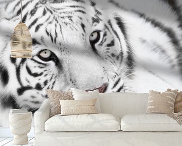 Witte tijger van Marcel van Balken