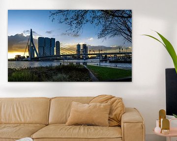 Skyline van Rotterdam vanaf Leuvehoofdpark van RB-Photography