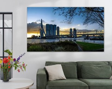 Skyline van Rotterdam vanaf Leuvehoofdpark van Ricardo Bouman