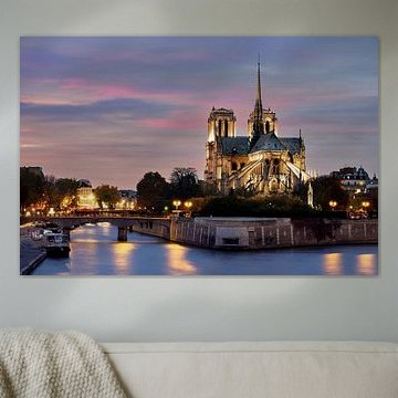 Notre Dame à Paris sur Edwin van Wijk