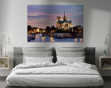 Notre Dame in Parijs van Edwin van Wijk