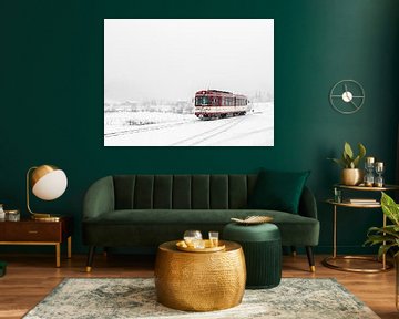 Polar Express by Edwin van Wijk