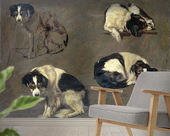 Raumvorschau