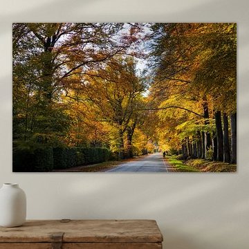 Schilderachtige herfst laan