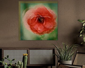 Mohn in Rot von Yvonne Blokland