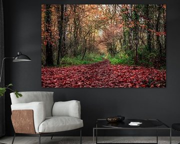 Herfstkleuren in de natuur, Twente in Nederland van Ratna Bosch