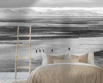 Keizerspinguins op ijschot in McMurdosound van Family Everywhere