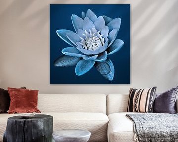 Nénuphar bleu sur Art by Jeronimo