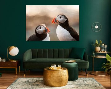 Puffin by Stijn Smits