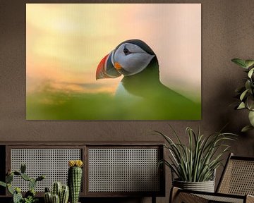 Puffin von Stijn Smits