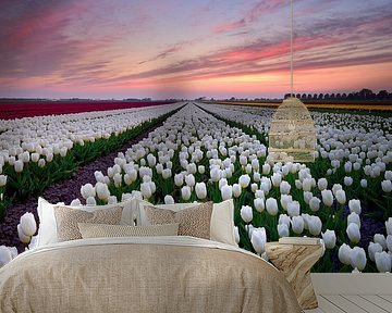 Tulip field at sunset by John Leeninga