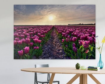 Tulpenfeld bei Sonnenuntergang von John Leeninga