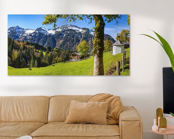 Aperçu de la chambre