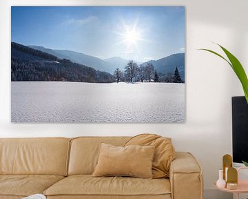 Sunny Winter Landscape by Coen Weesjes