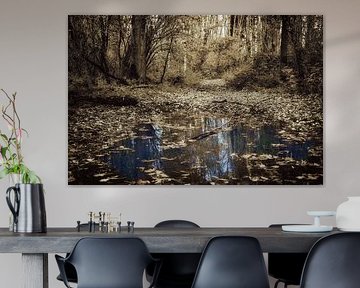 Wet woods by Jan van der Knaap