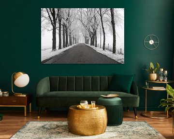 Landstraße durch eine gefrorene Winterlandschaft während eines kalten Wintermorgens von Sjoerd van der Wal Fotografie