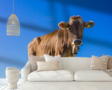 Allgäuer Braunvieh van Walter G. Allgöwer