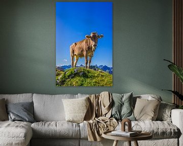 Young cow, Allgäu alps sur Walter G. Allgöwer