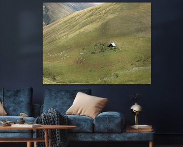 Huisje in de Alpen Frankrijk
