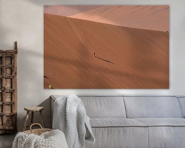 Zandduinen in Namibië von Toon Loonen