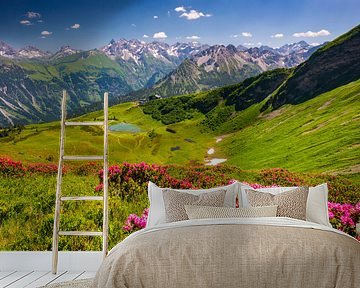 Alpenrosenblüte  am Fellhorn von Walter G. Allgöwer