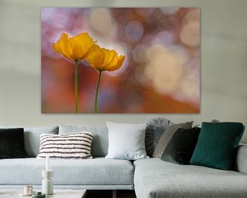 Orange Spring Delight - Orange Mohnblumen von Brigitte van Krimpen