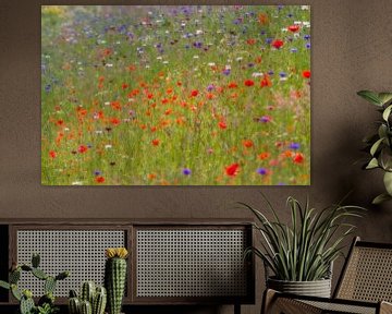 Monets summer breeze - veldbloemen (klaprozen) van Brigitte van Krimpen