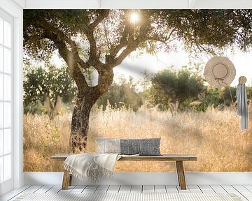 Sun through olive tree by Ellis Peeters
