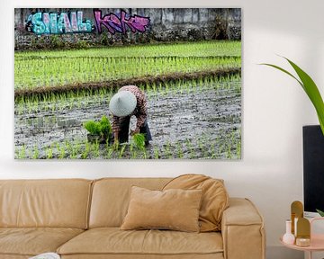 Rijstplanter in Bali