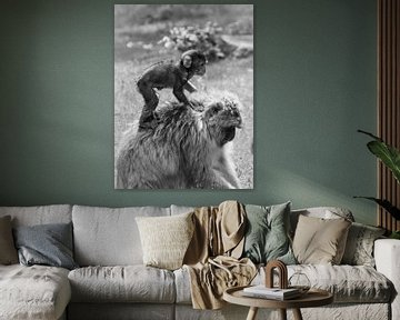 Horse riding mama monkey. by Mignon Goossens