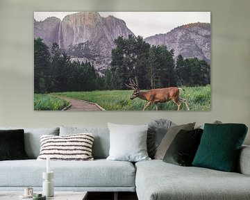 Hert Yosemite nationaal park van Michelle van den Hondel