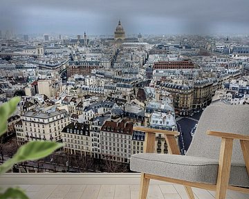 Paris by Johnny van der Leelie