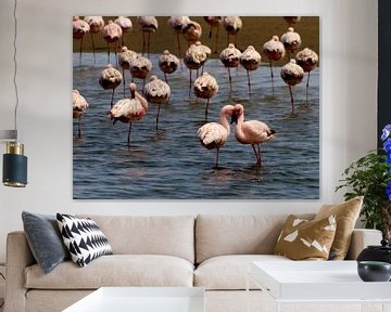Pink flamingos by Roos Vogelzang