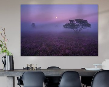 Purple Heather Hilversum 2 by Albert Dros