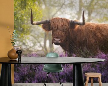 Scottish Highlander with Purple Heather by Albert Dros